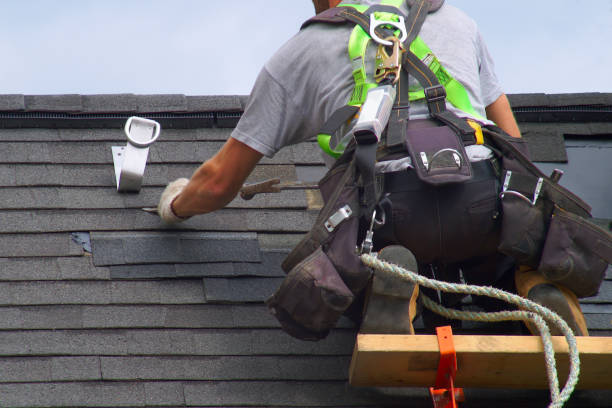 Best Roof Leak Repair  in West Monroe, MI