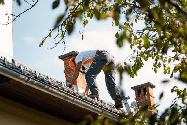 Best Best Roofing Contractors  in West Monroe, MI