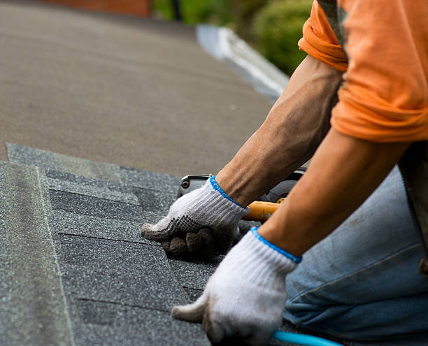 Roof Gutter Cleaning in West Monroe, MI