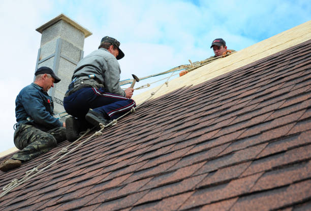Best Roofing Contractor Near Me  in West Monroe, MI